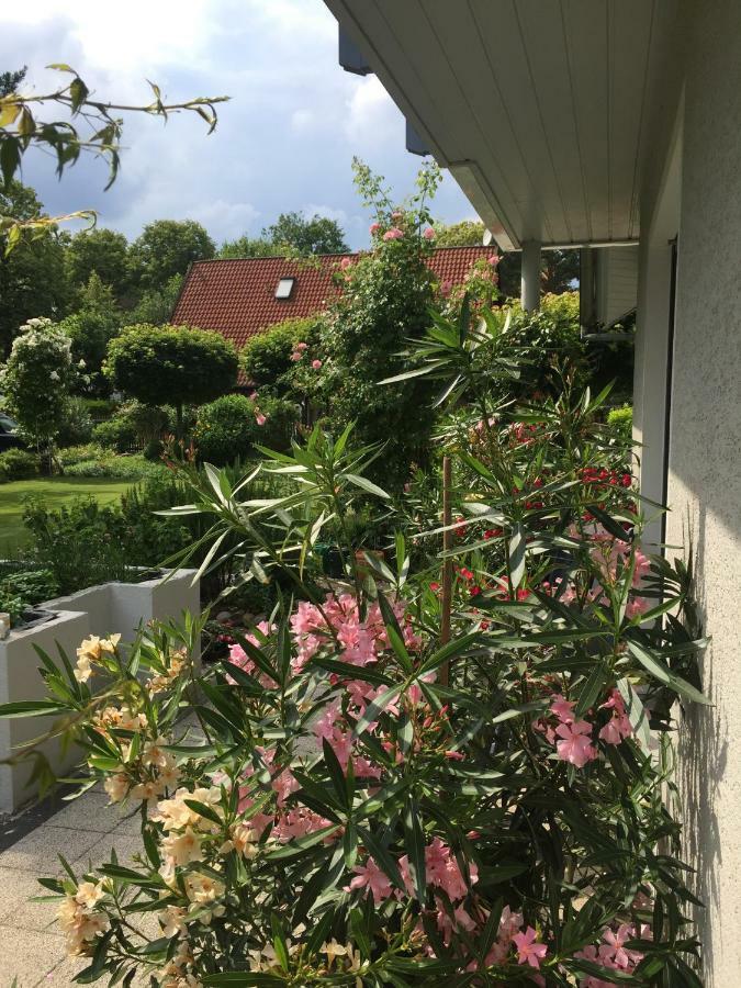 Villa "Auszeit" โฮเฮิน นอเอนดอร์ฟ ภายนอก รูปภาพ